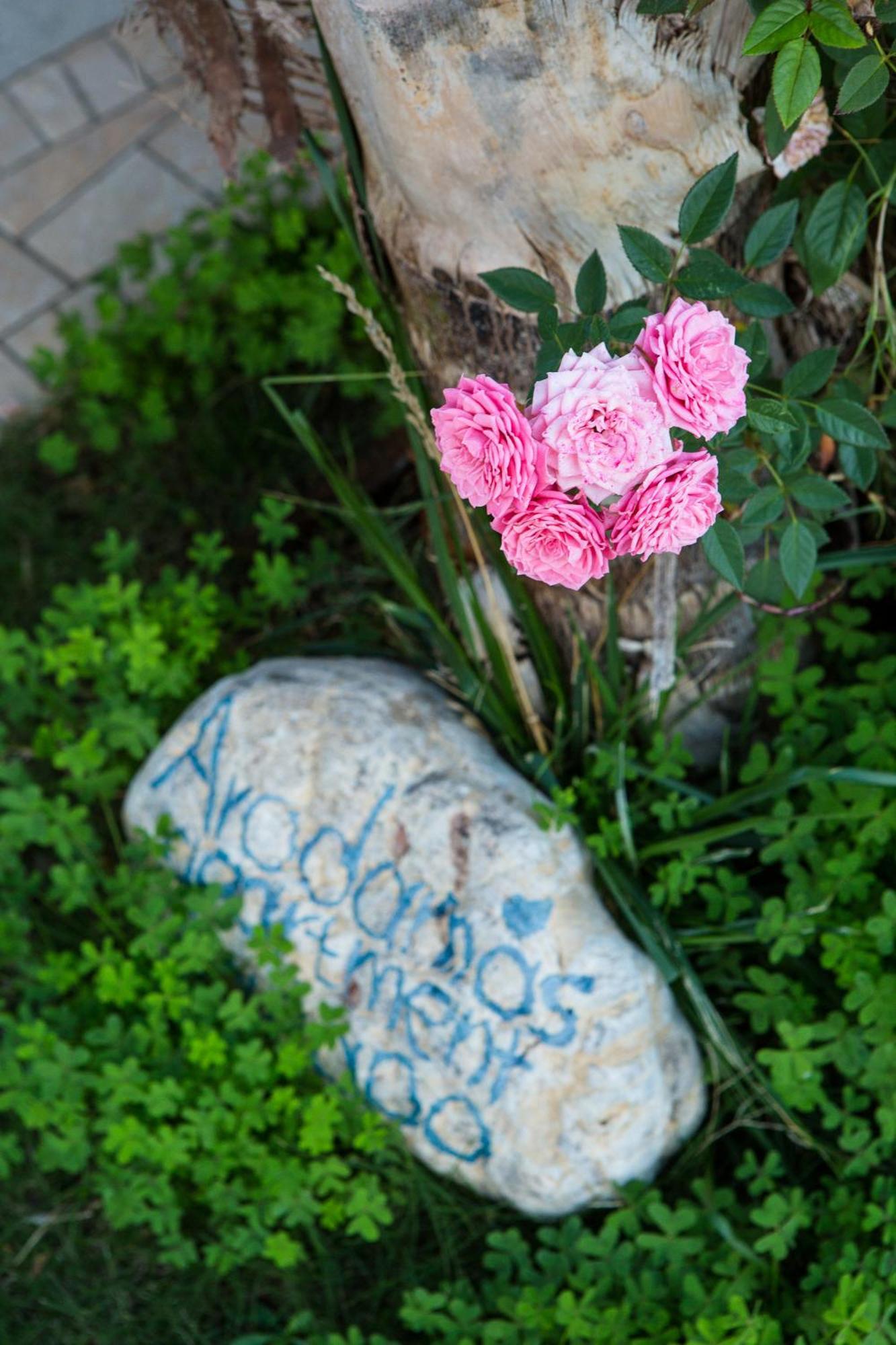 Arodamos Studios & Apts Kissamos Luaran gambar